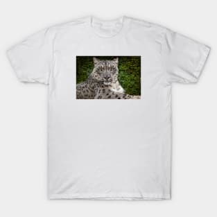 A Snow Leopard Portrait T-Shirt